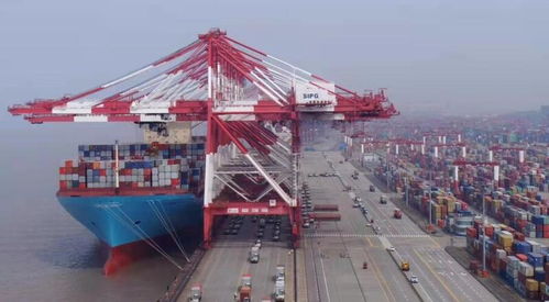 上海口岸或迎報(bào)復(fù)性出貨潮，貨代兇猛報(bào)關(guān)再現(xiàn)